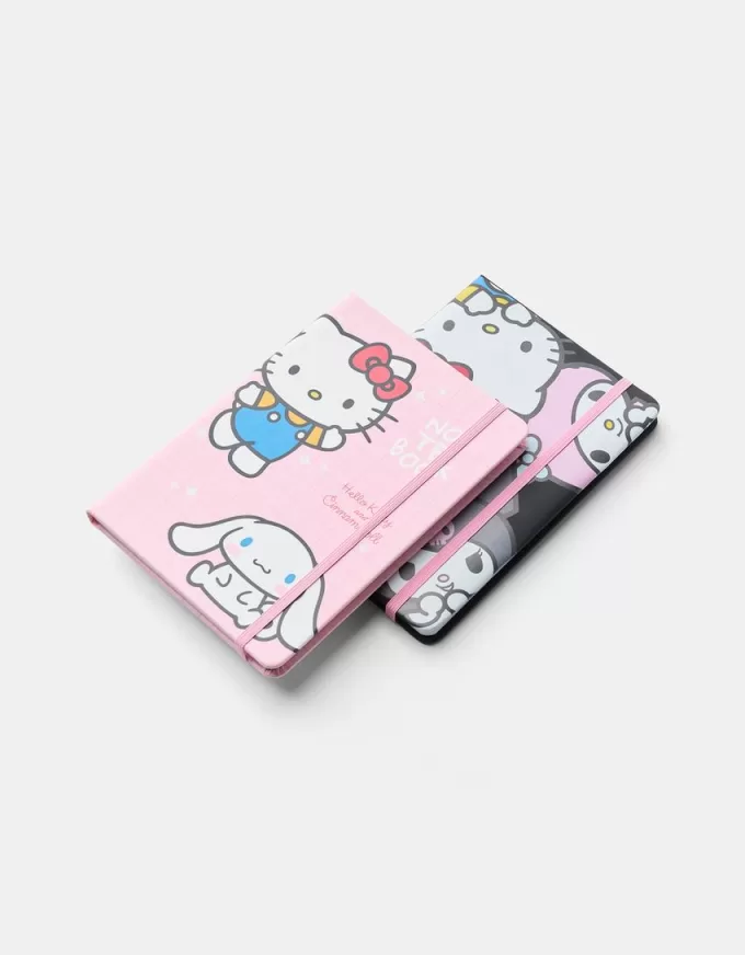 Pack of Hello Kitty and Friends notebooks Pack of Hello Kitty and Friends notebooks
